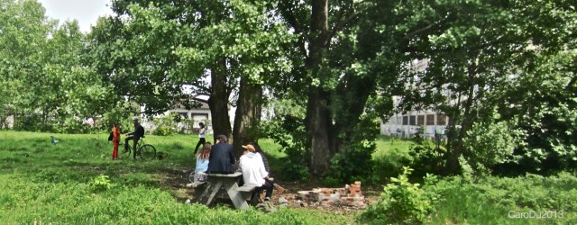 Le Champ des possibles - Montréal, Mai 2013