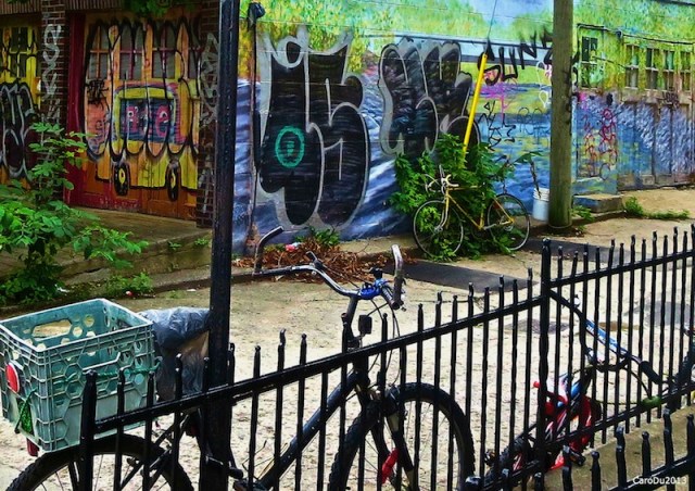 carolinedufourbicyclegraff5