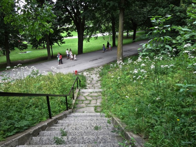 Sur la montagne, hier.