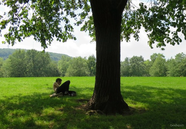 Parc Jeanne-Mance, le mont Royal en arrière-plan - Juillet 2013