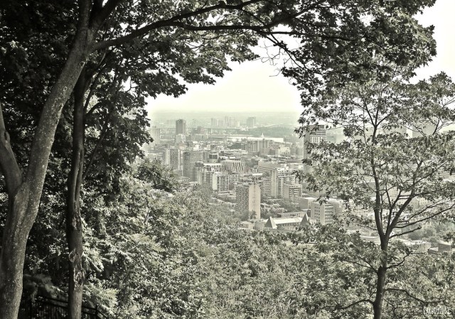 Vue vers l'est, du haut du mont Royal - Juillet 2013