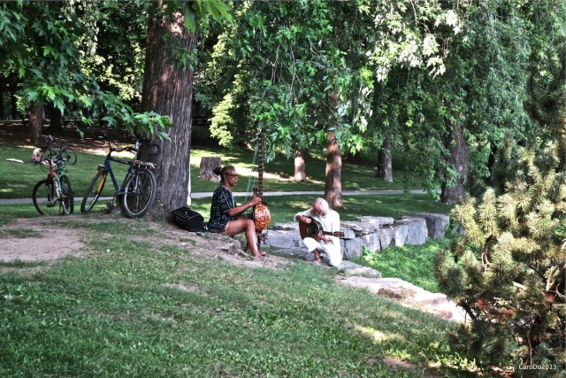 Juste avant la tombée du jour, hier, au coeur du parc Lafontaine