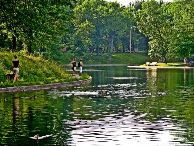 carolinedufourbucoler2