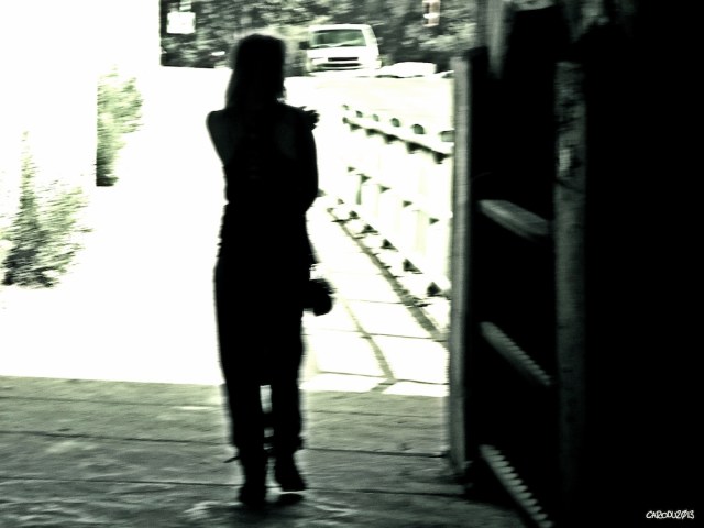 carolinedufourviaduc3