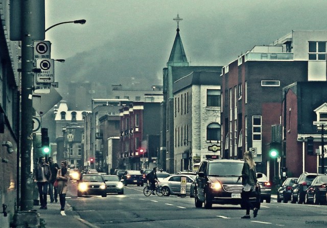 carolinedufourAveDesPins