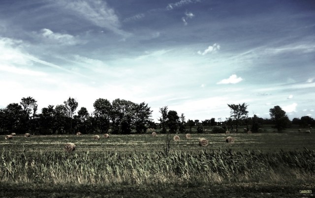 carolinedufourSURLA15-4