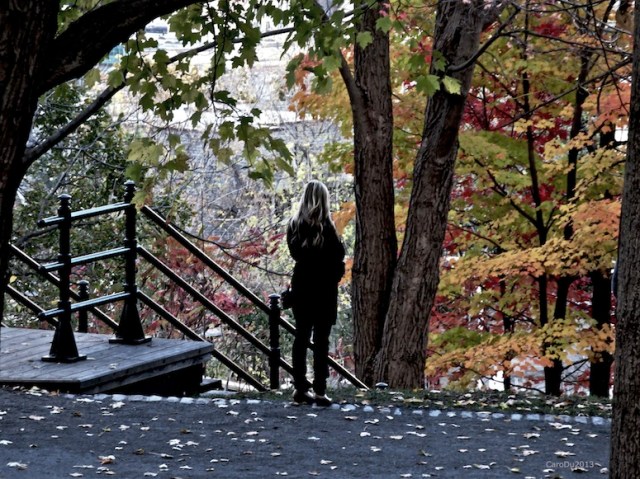 carolinedufourfillefeuillage all