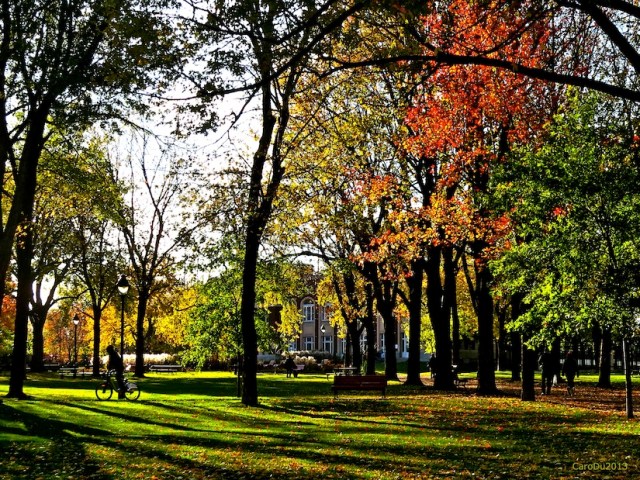 carolinedufourlaurier