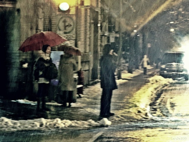 carolinedufourNParcor