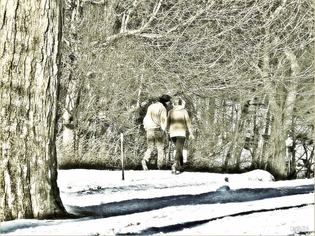 carolinedufourdeuxmarcheursLI3-3