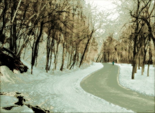 carolinedufourmontvertc3