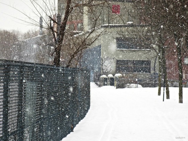 carolinedufourvfskiaut