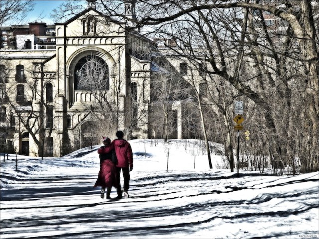 carolinedufourlumi3c