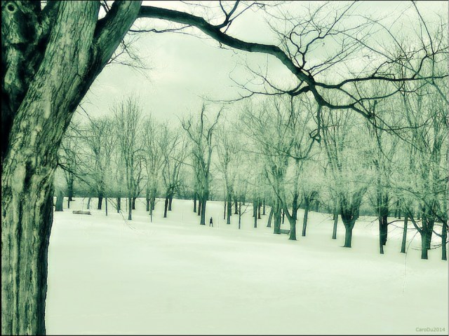 carolinedufourmarcheuravril2c