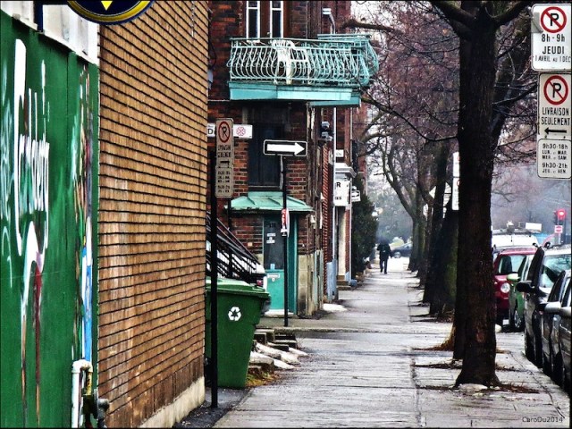 carolinedufourcoinstde2