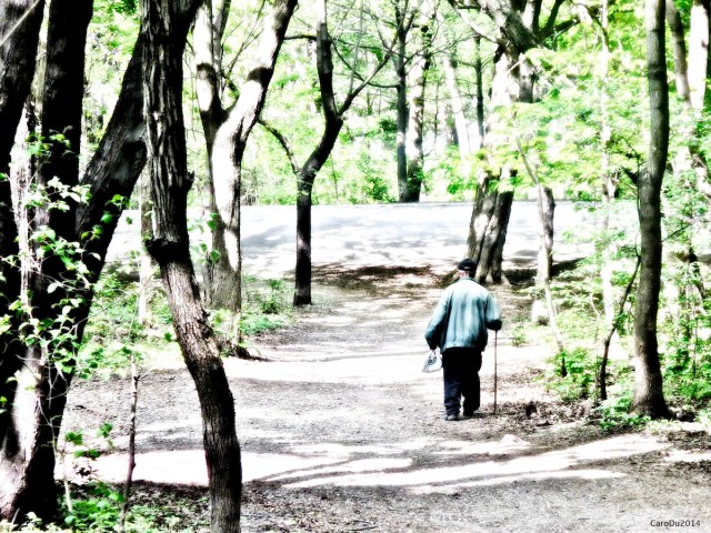 L'HOMME QUI MARCHAIT - Mai 2014, sur le mont Royal