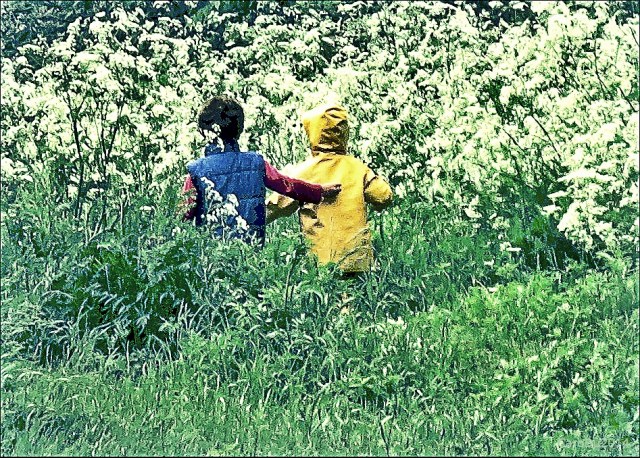 ENSEMBLE DANS LA FRICHE -  Champ des possibles, Montréal, 12 juin 2014