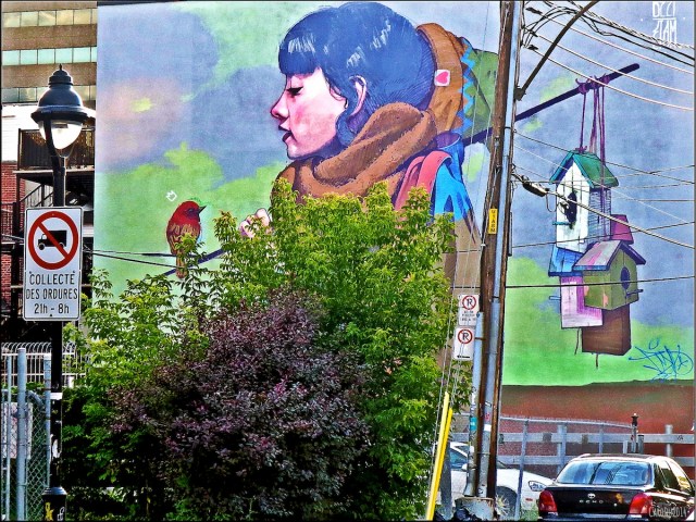 LA ROUTE - Juillet 2014, sur le Plateau, Montréal