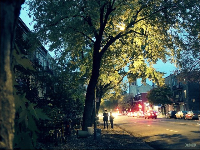 CRÉPUSCULE RUE DE LORIMIER - Plateau, Montréal, octobre 2014