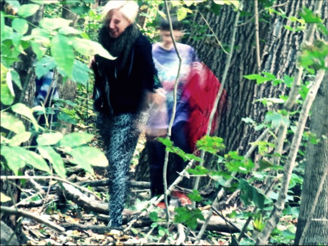 AU PIED DE L'ARBRE - Sur le Mont Royal, octobre 2014