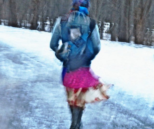 ROSE ET BLEU DE GLACE - Mont Royal, fin décembre 2014