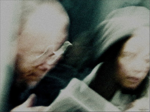 ESPACES INTÉRIEURS - Ligne orange, décembre 2014, Montréal