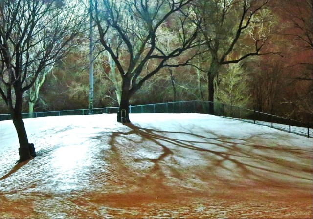 SOIR GLACÉ - Parc du Pélican, Rosemont - Janvier 2015