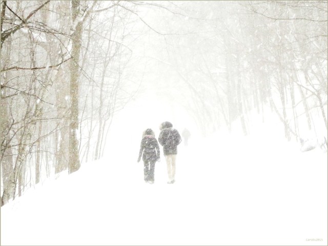 BLANC POUDRE - Février 2015, sur la montagne