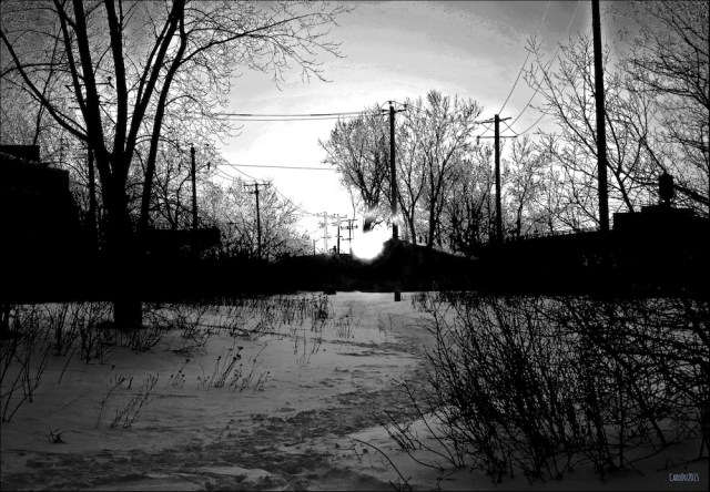 QUELQUES SECONDES AVANT L'IMPACT Près du Champ des Possibles, Montréal, février 2015