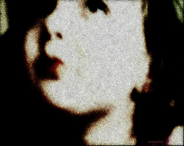 LA QUESTION - Février 2015, Montréal