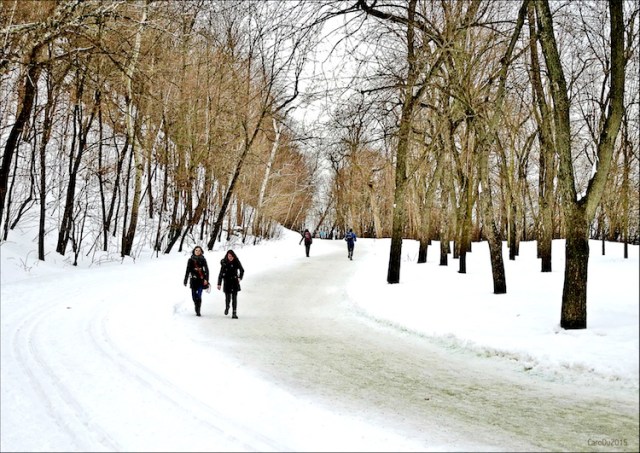 LENTEUR DE MISE - Il y a quelques jours, sur le mont Royal, Montréal