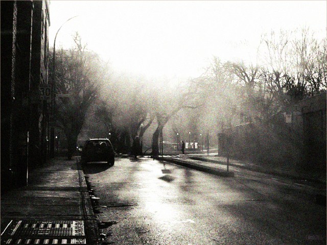 carolinedufourrachso3