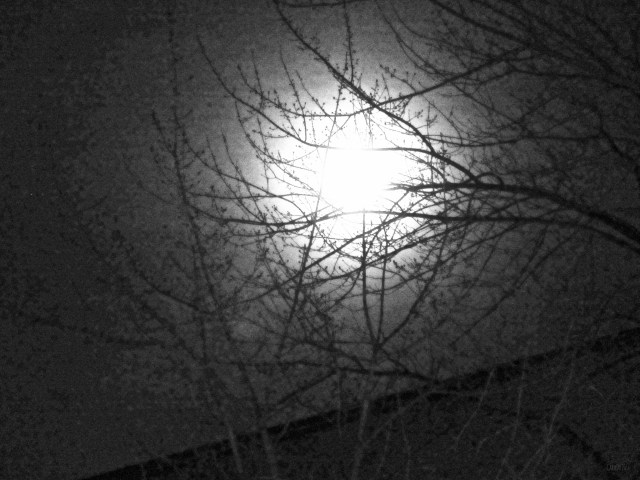 carolinedufourlunejanv