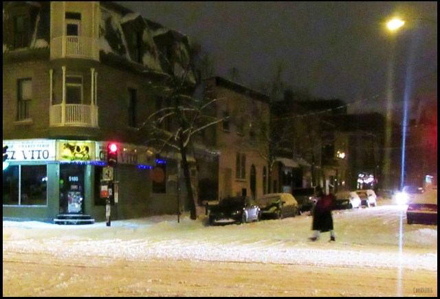 carolinedufourtrme3Cvi