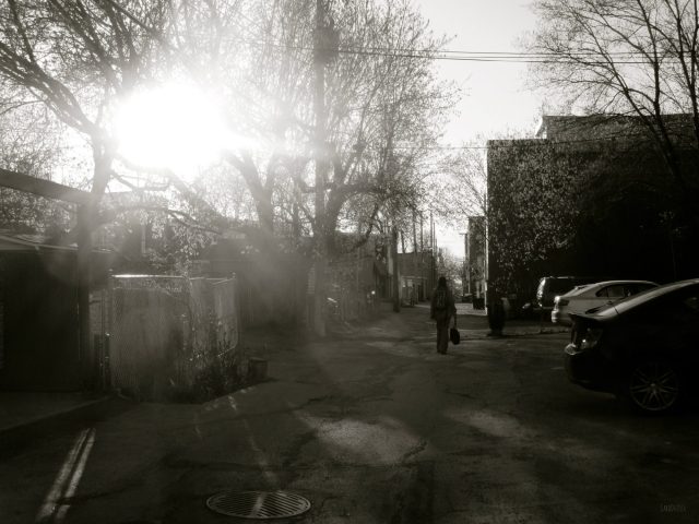 SOLEIL BAS - Hier, dans une ruelle pas loin de chez nous (cliquer 2x pour agrandir)