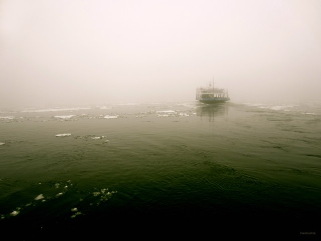 carolinedufourflvhi3