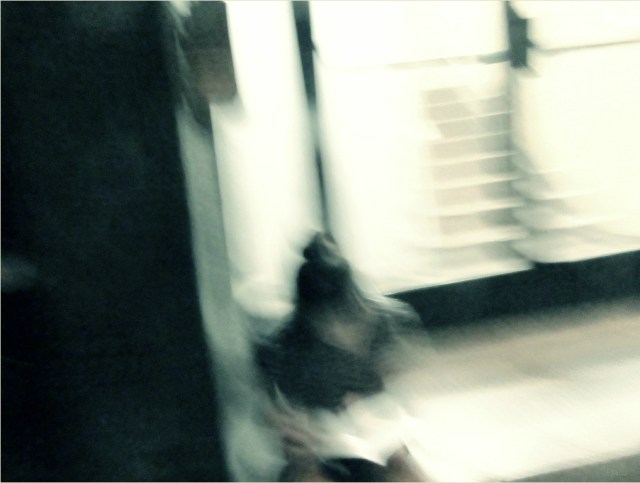 carolinedufourlectro