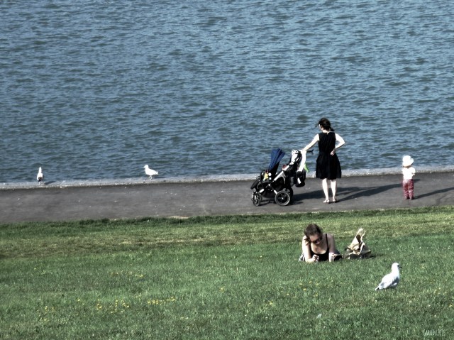 carolinedufourlaccdes