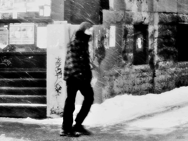 carolinedufourgalisrsh