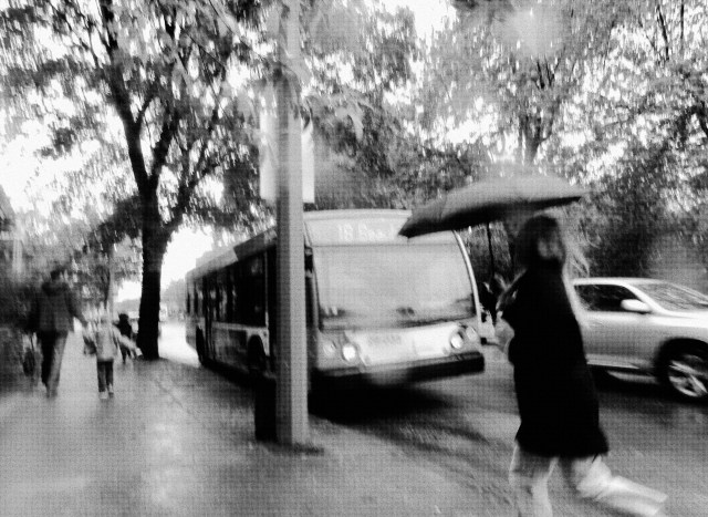 carolinedufourpeficodt