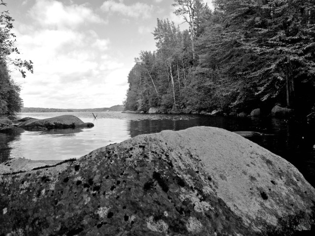 carolinedufourembsc2