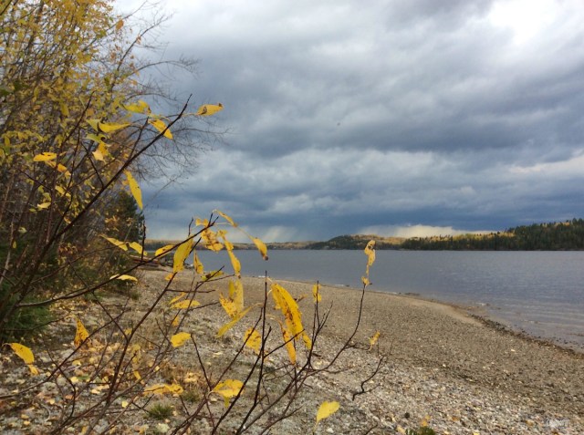 carolinedufourintlaaut