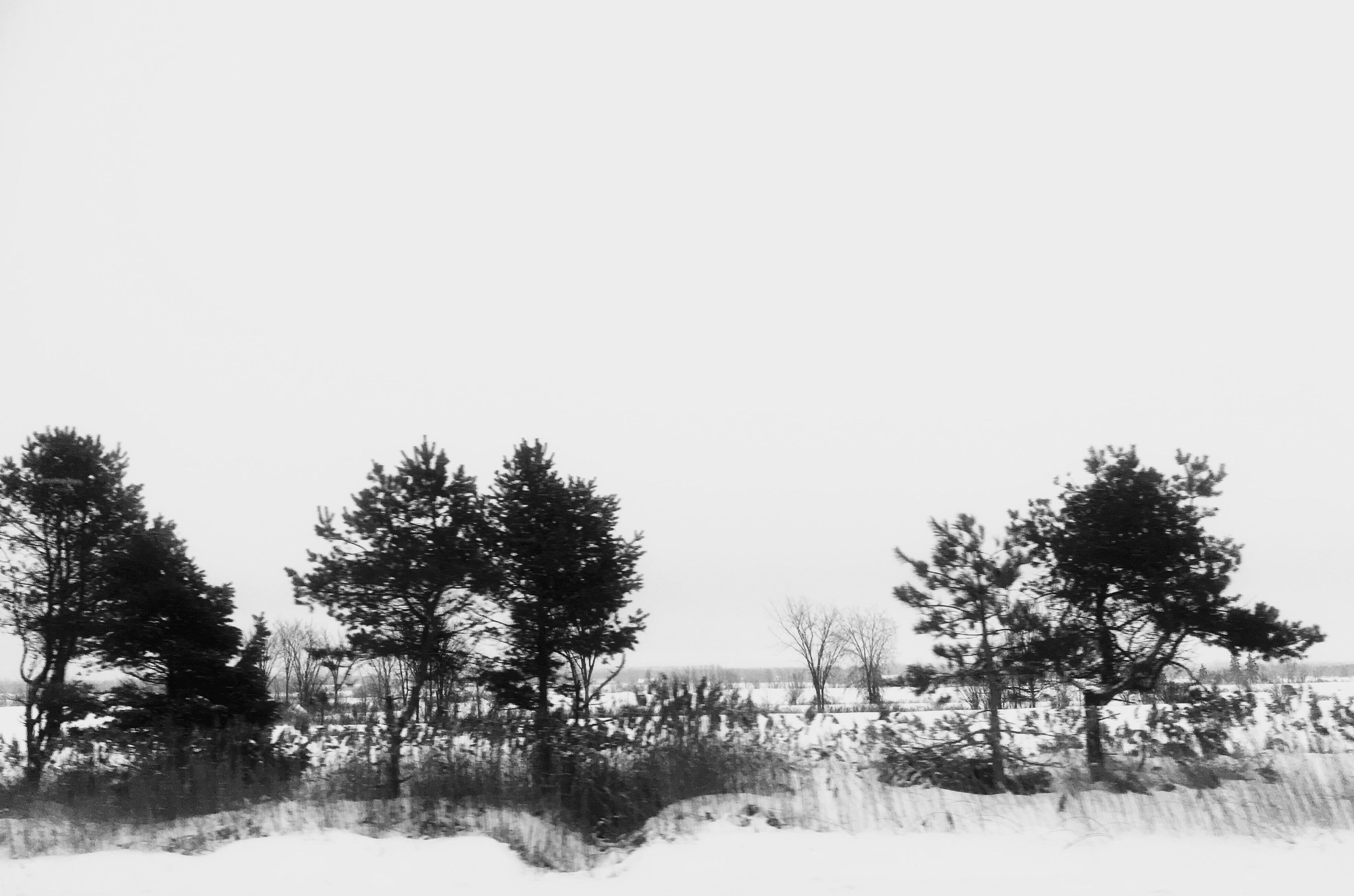 59b61816-8cb1-4928-94ed-09861138ff28
