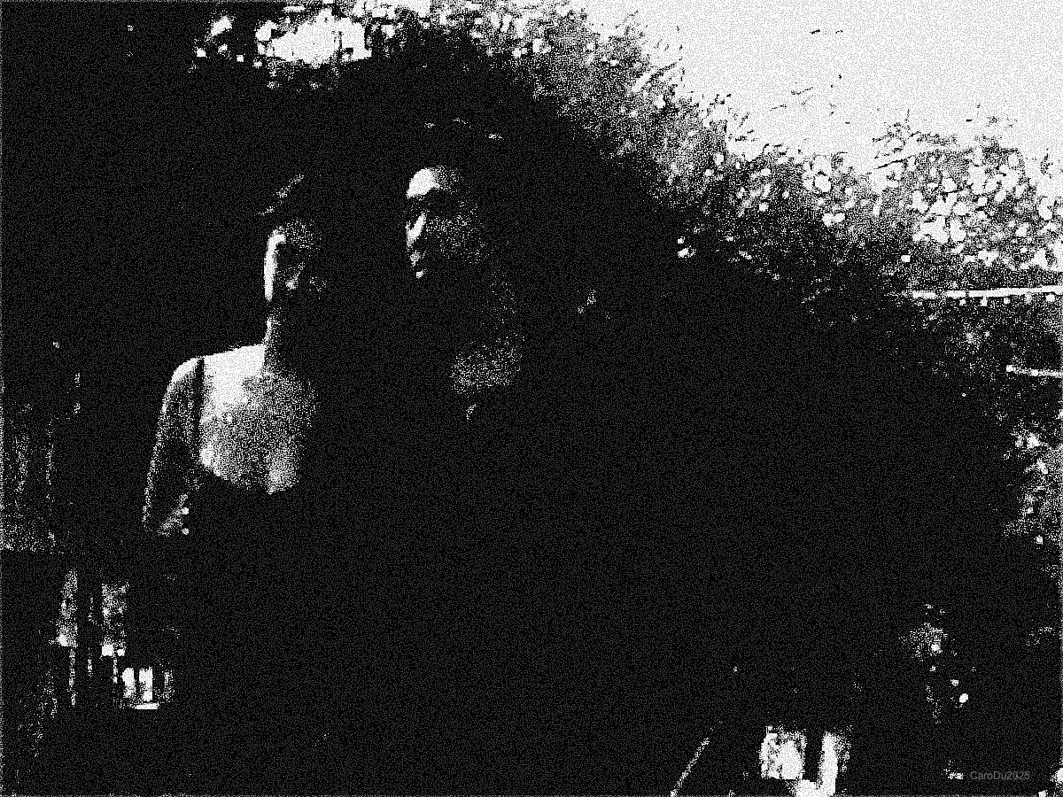 solitude – Les notes de Grâce M., image size:1200x900